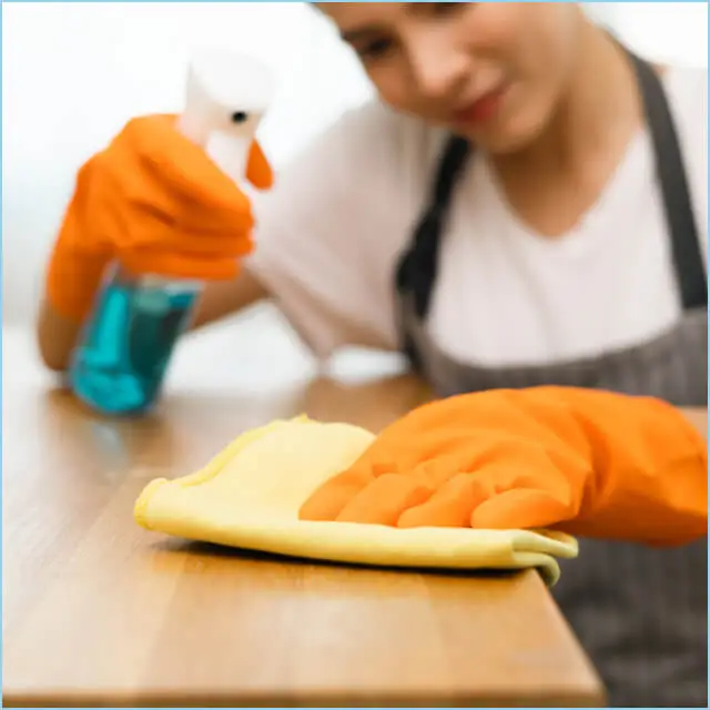 maid cleaning wooden table