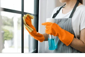 Pros and Cons of Hiring a Transfer Maid in Singapore